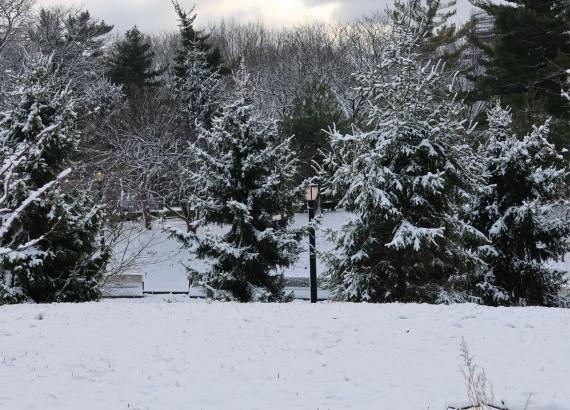 क्रिशमसको माहौलमा न्यूयोर्कवासीलाई हल्का हिउँको रौनकता