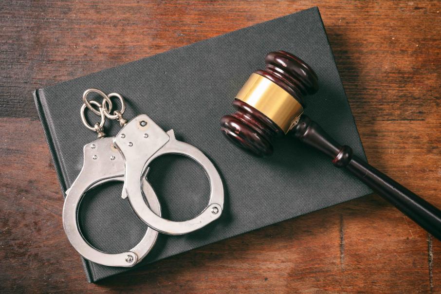 ट्रम्पका सहयोगीले गैरकानूनी आप्रवासी लुकाउने अधिकारीलाई कारवाहीको चेतावनी दिए